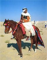 Der Araber-Berber
